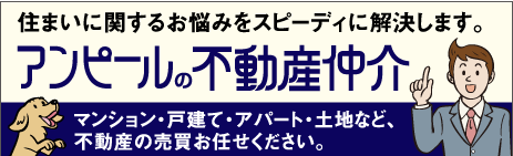 中古マンションの売買、アンピール仲介